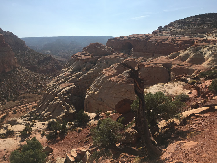 Capitol Reef National Park